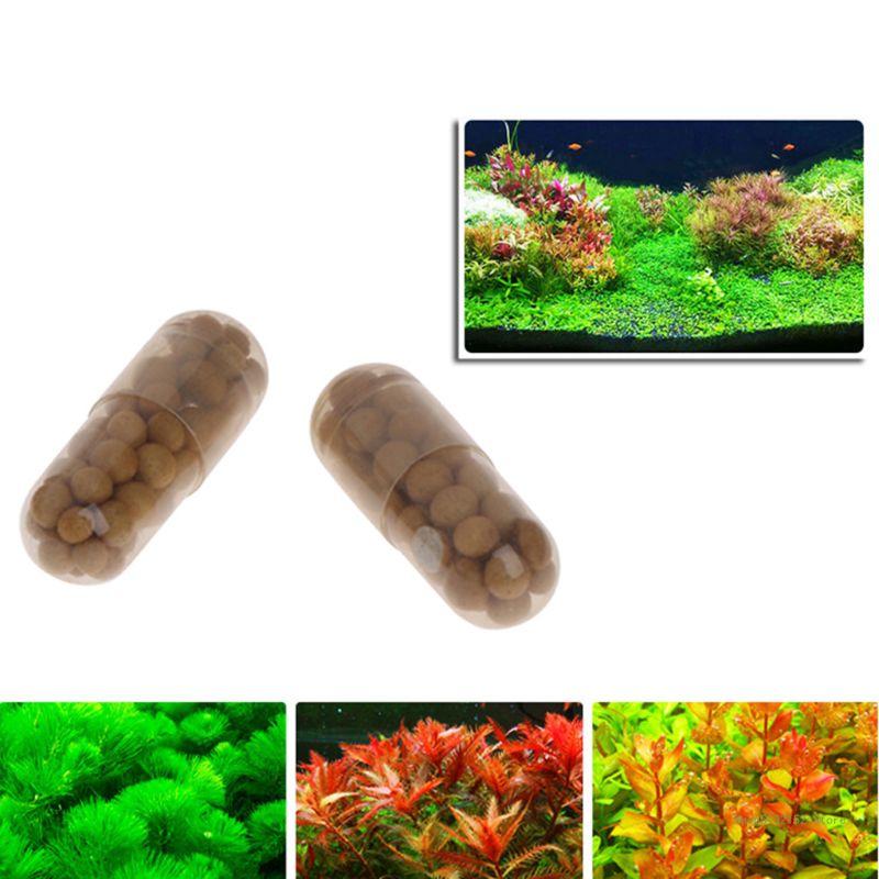 Planted Aquarium Best Fish - QX2E Aquarium Live Plant Fertilizer Root