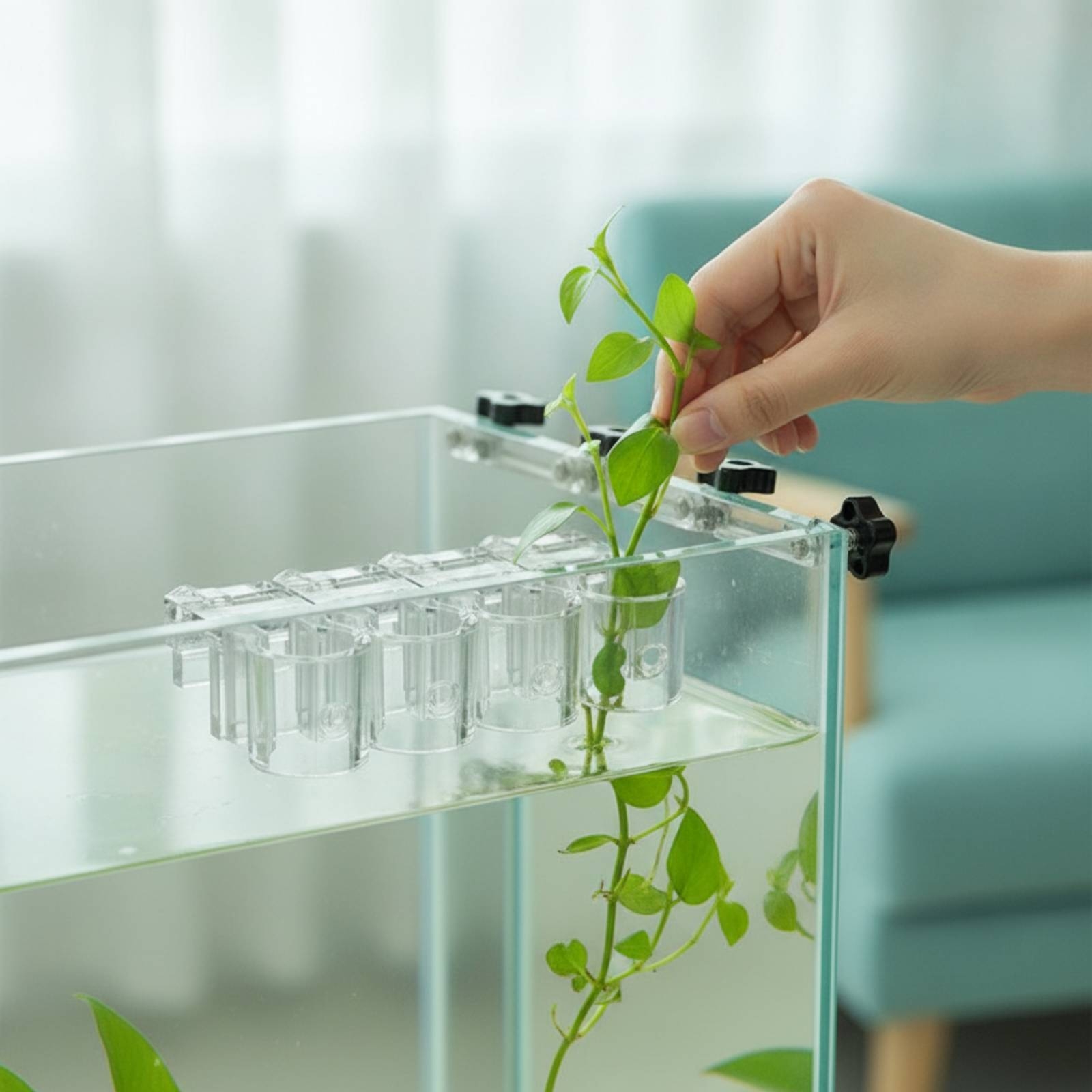 6 Pieces Aquarium Planter Clea - Aquarium Plant Original recension och pris