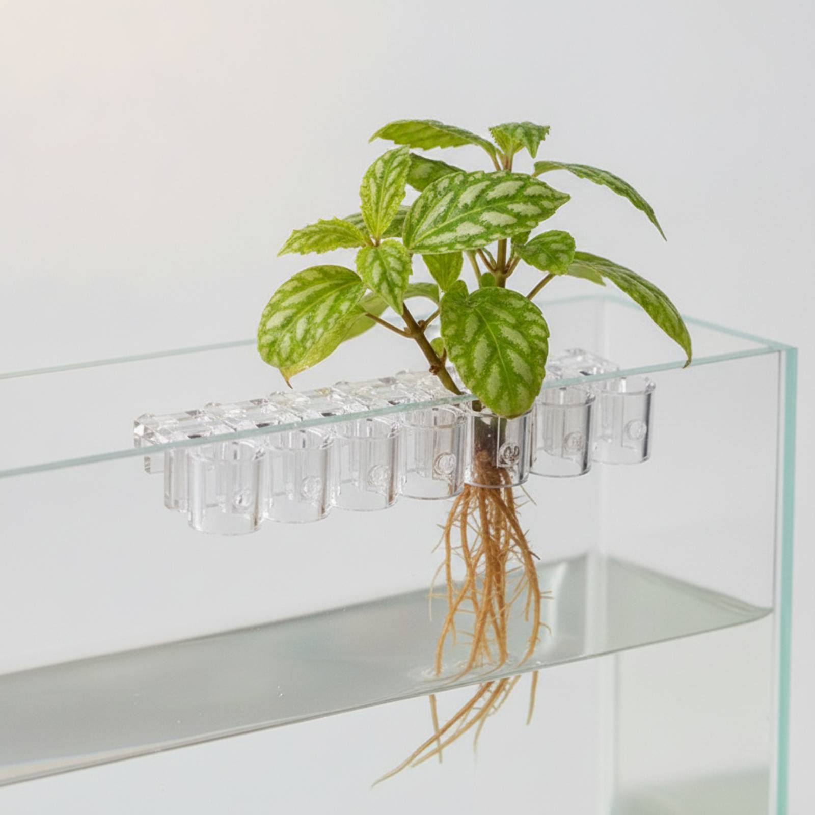 6 Pieces Aquarium Planter Clea - Aquarium Plant Original recension och pris
