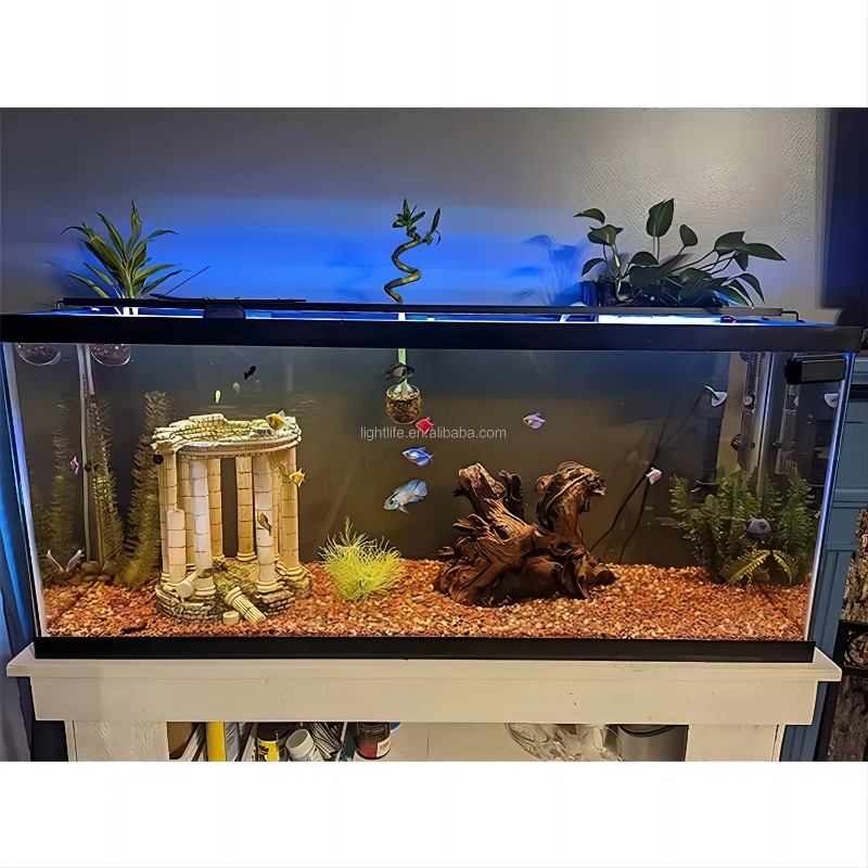 24/7 Cycle Waterproof Auto on  - Planted Aquarium Cycling recension och pris