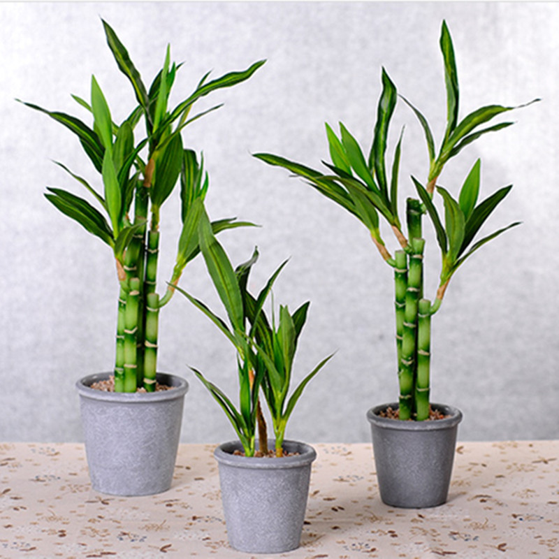 New 40cm Artificial Lucky Bamb - Aquarium Planted Tank recension och pris