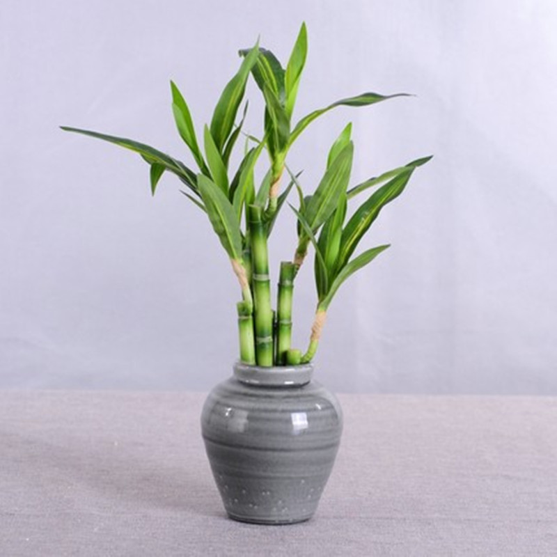 New 40cm Artificial Lucky Bamb - Aquarium Planted Tank recension och pris