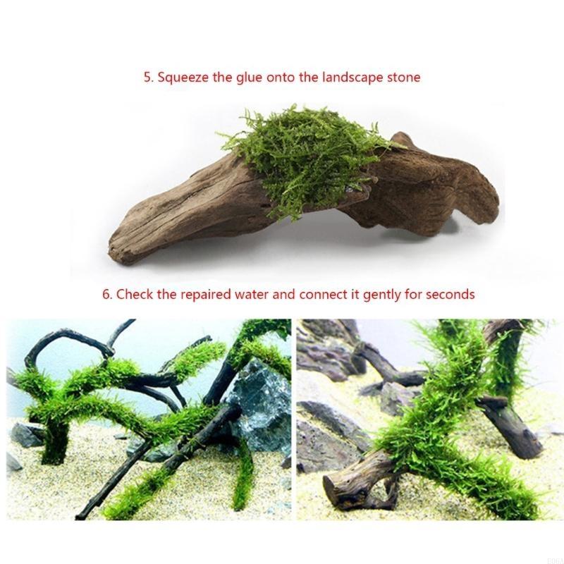 25pcs Aquarium for Landscaping - Aquarium Plant Glue recension och pris