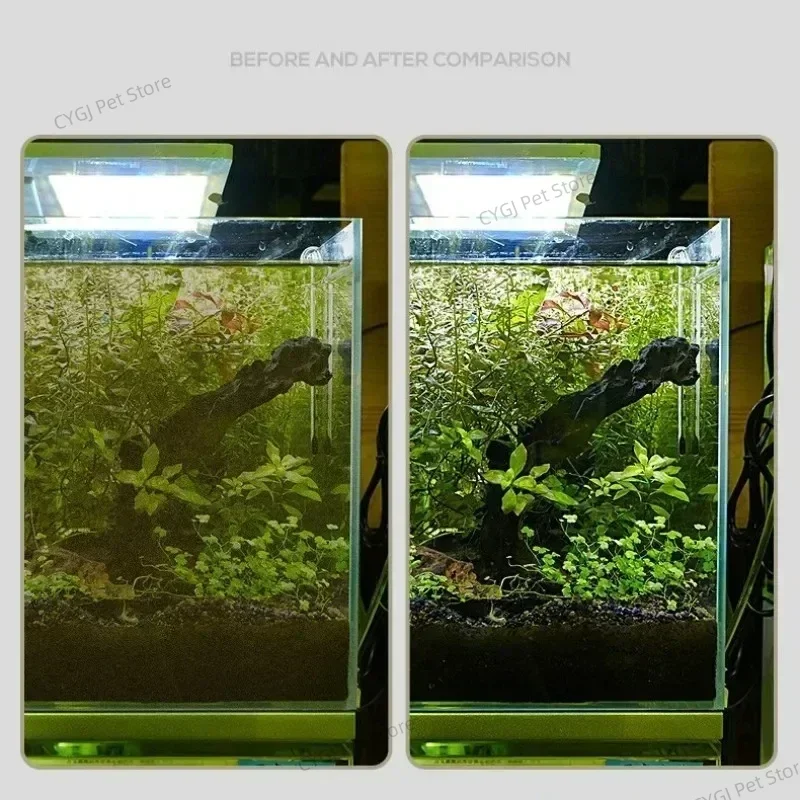 Fish Tank Cleaning Tool Flat S - Planted Aquarium Tools recension och pris