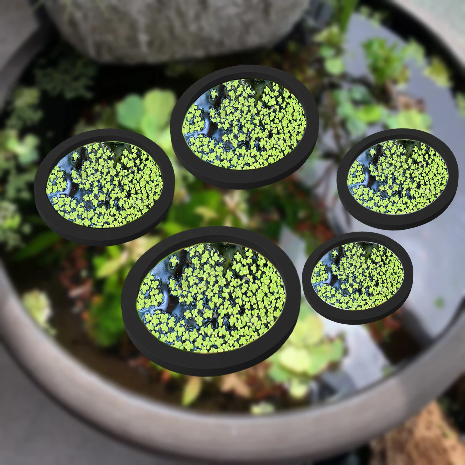 5Pcs EVA Fish Feeding Ring Aqu - Aquarium Planted Tank recension och pris