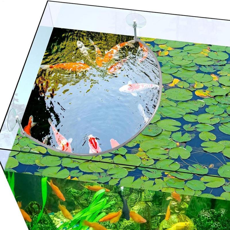Floating Plant Corral Fish Fee - Planted Aquarium Equipment recension och pris