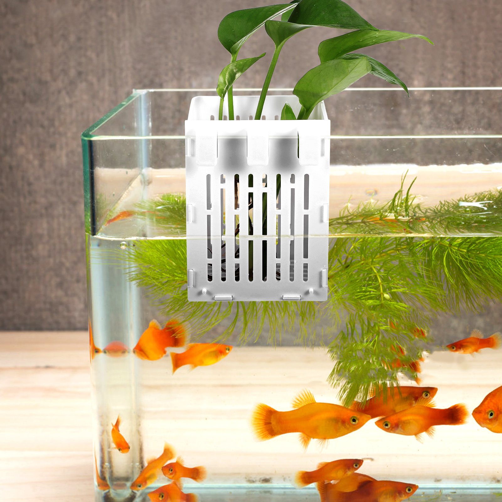 2Pcs Aquatic Plant Basket Hang - Aquarium Planted Set Up recension och pris